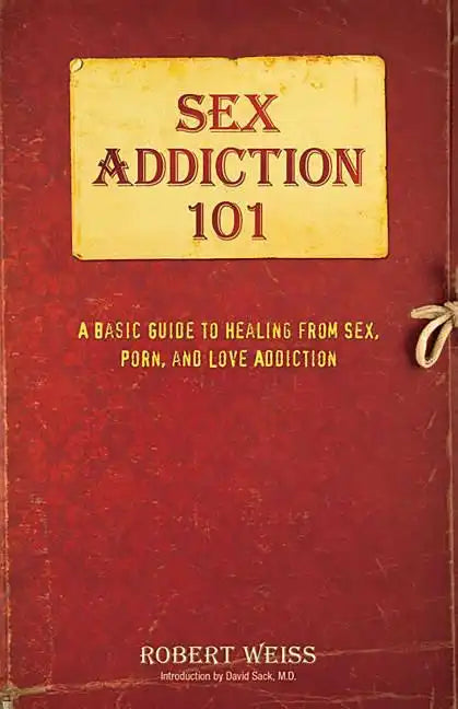 Sex Addiction 101: A Basic Guide to Healing from Sex, Porn, and Love Addiction - Paperback