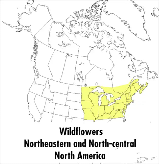 A Peterson Field Guide to Wildflowers: Northeastern and North-Central North America - Paperback