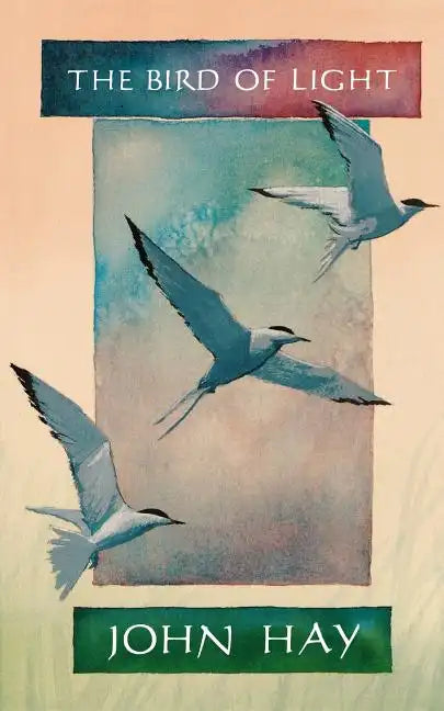 The Bird of Light - Paperback