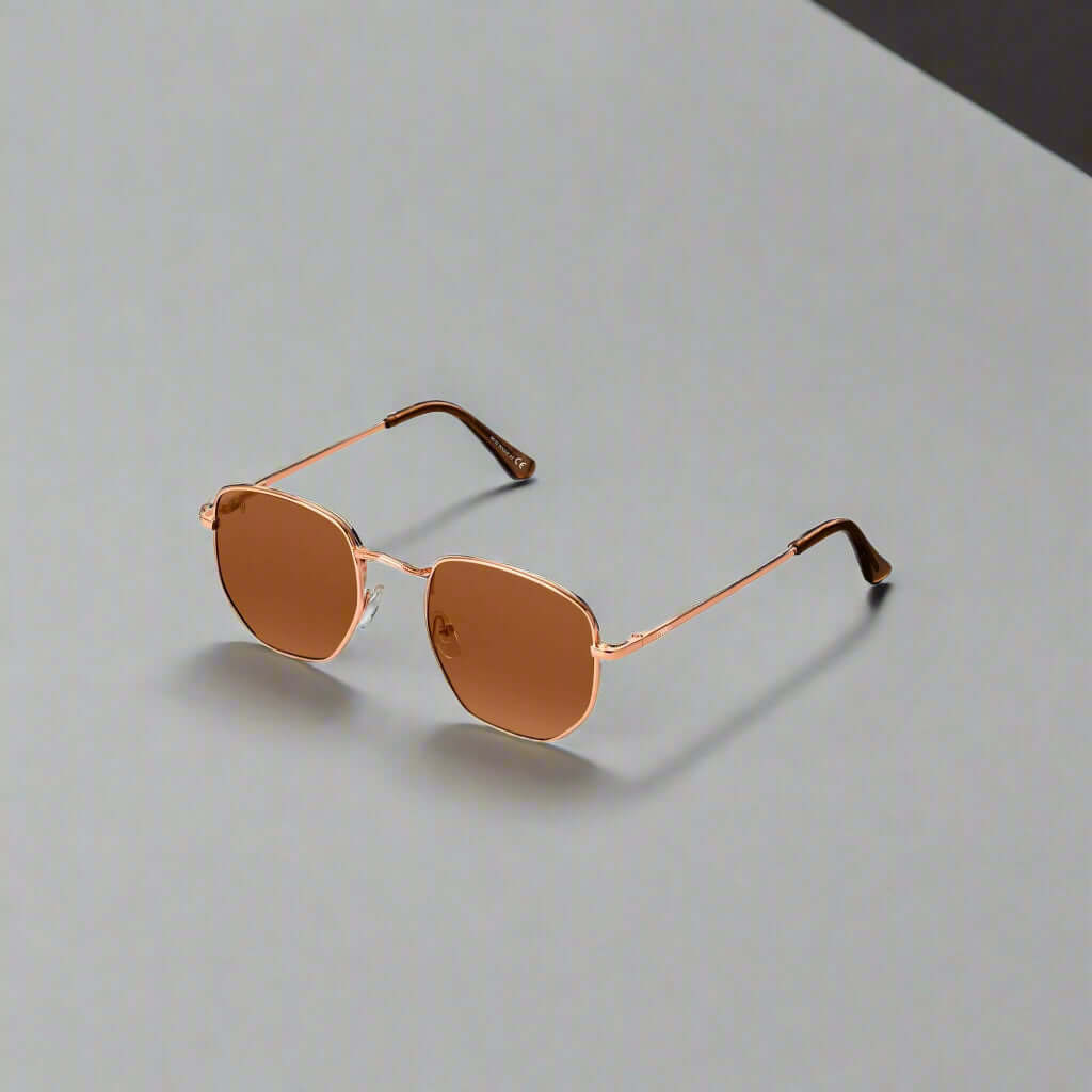 Twig men's and women's sunglasses in assorted styles including aviator, round, and square frames