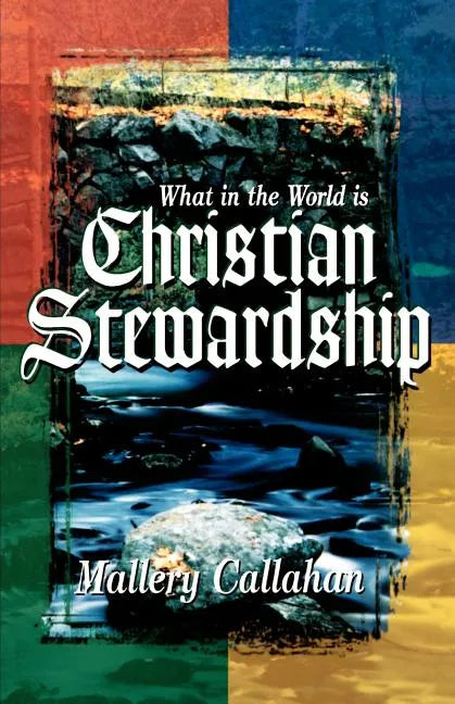 What in the World is Christian Stewardship - Paperback