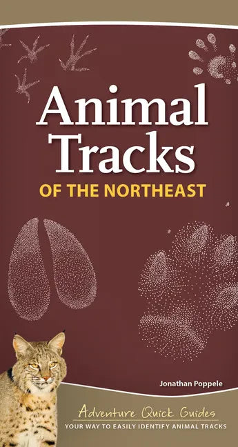 Animal Tracks of the Northeast: Your Way to Easily Identify Animal Tracks - Spiral