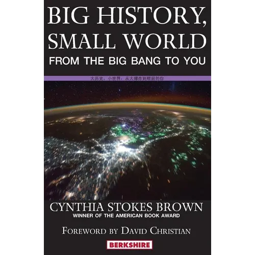 Big History, Small World: From the Big Bang to You - Paperback