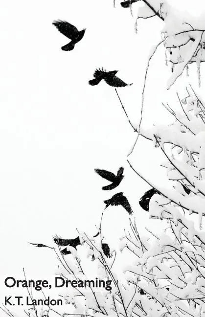 Orange, Dreaming - Paperback