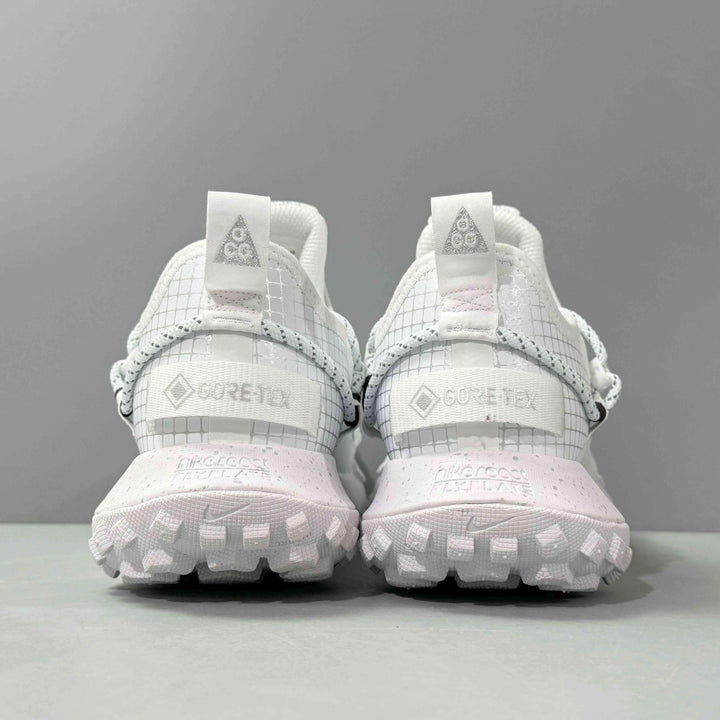Nike ACG Mountain Fly Low Gore-Tex SE &