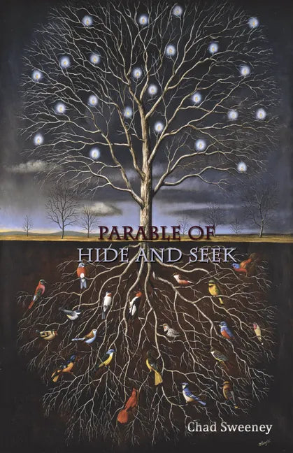 Parable of Hide and Seek - Paperback