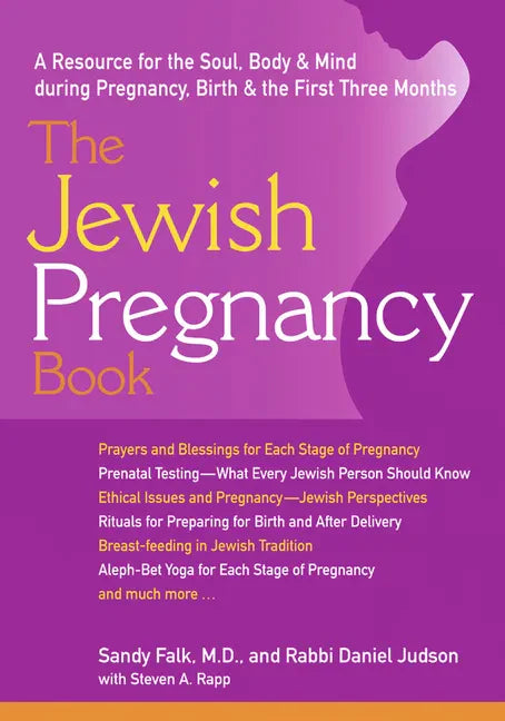 The Jewish Pregnancy Book: A Resource for the Soul, Body & Mind During Pregnancy, Birth & the First Three Months - Paperback