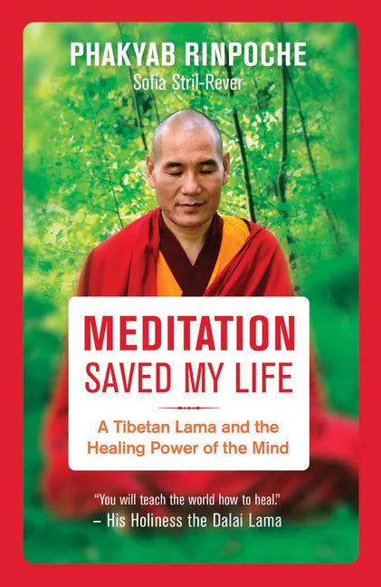 Meditation Saved My Life: A Tibetan Lama and the Healing Power of the Mind - Paperback