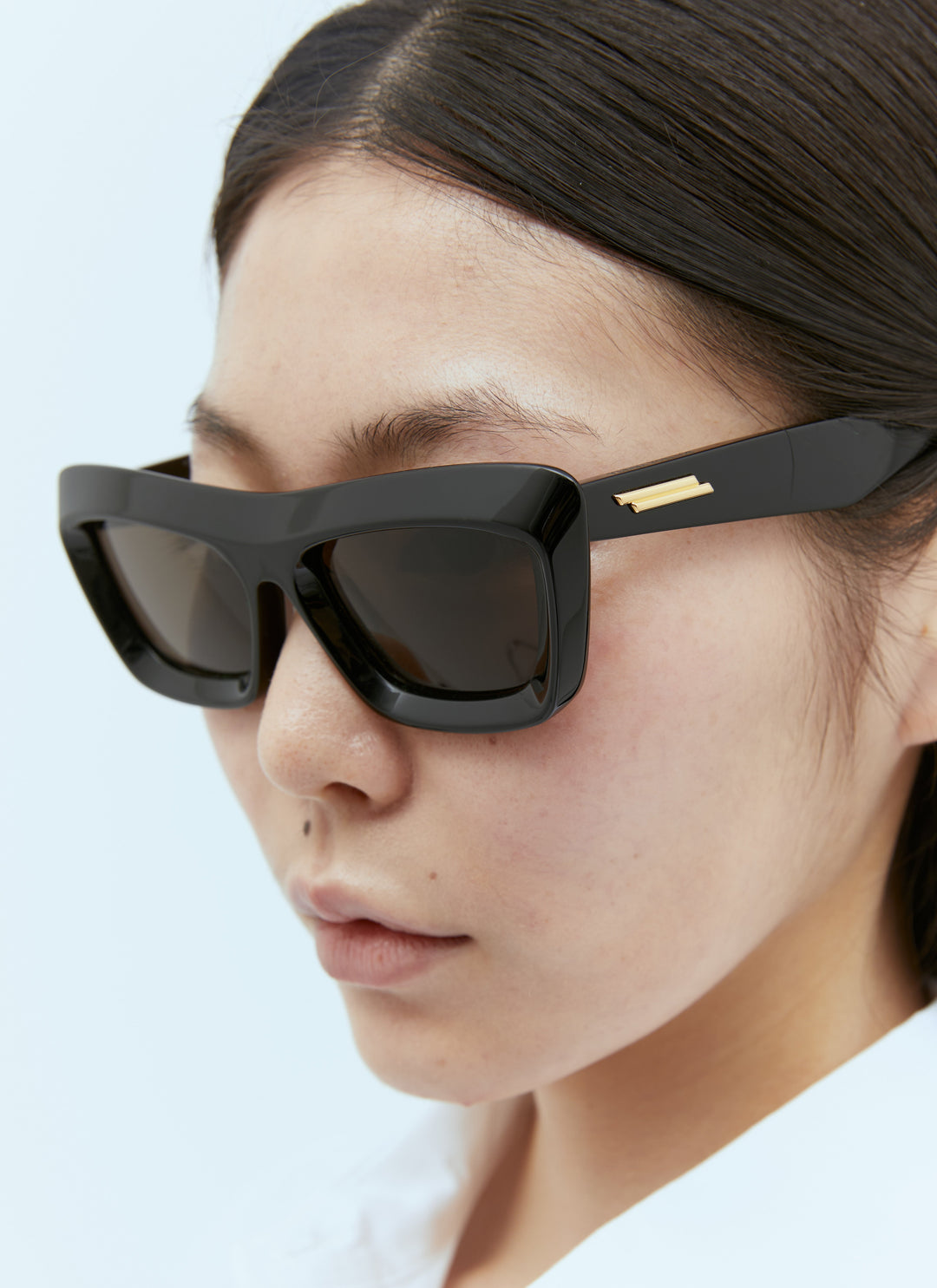 Bottega Veneta Women Classic Cat Eye Sunglasses