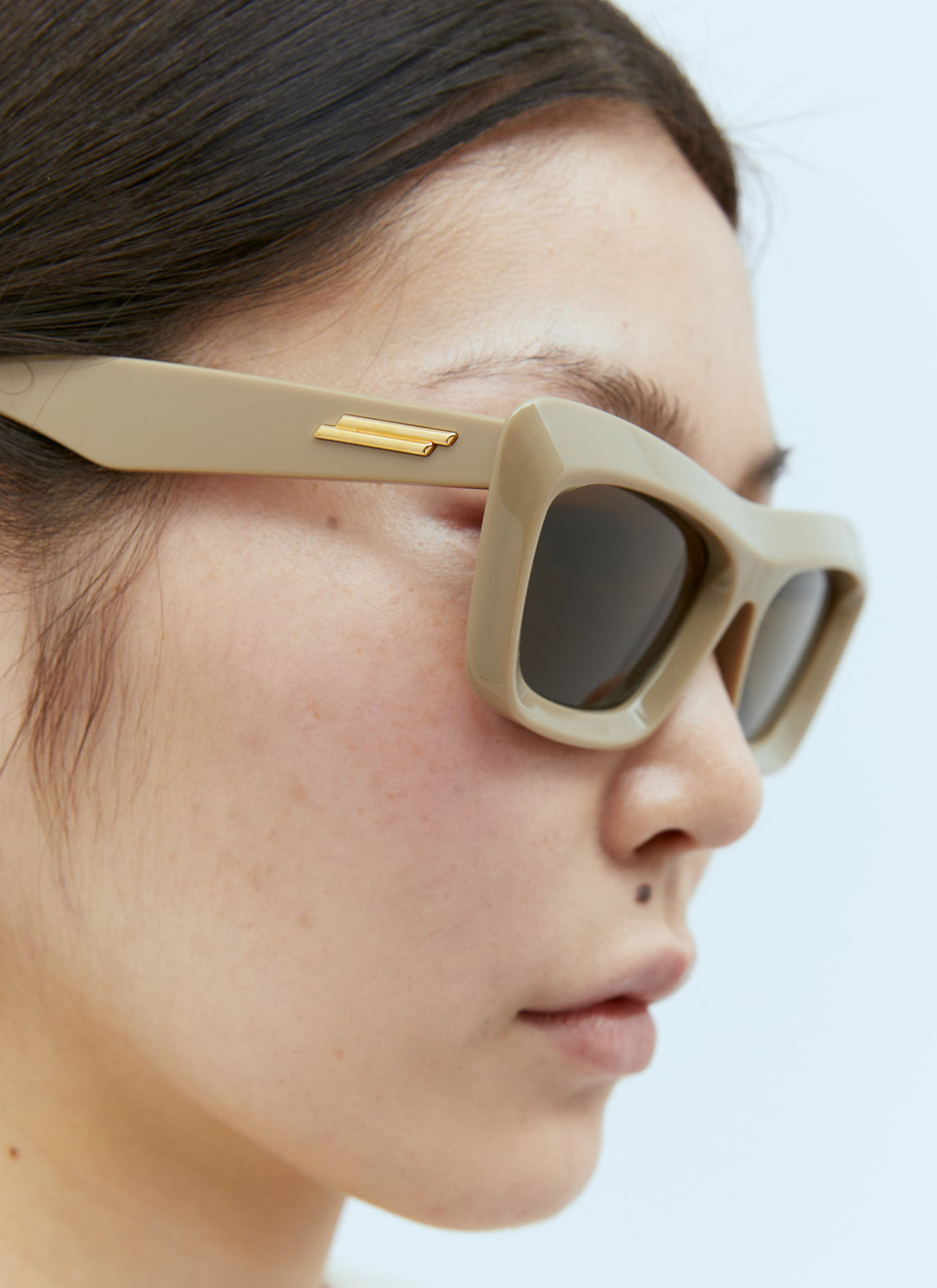 Bottega Veneta Women Classic Cat Eye Sunglasses