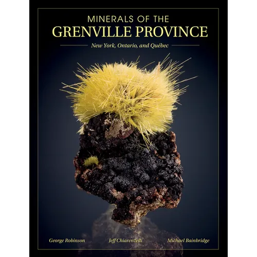 Minerals of the Grenville Province: New York, Ontario, and Qu饕ec - Paperback