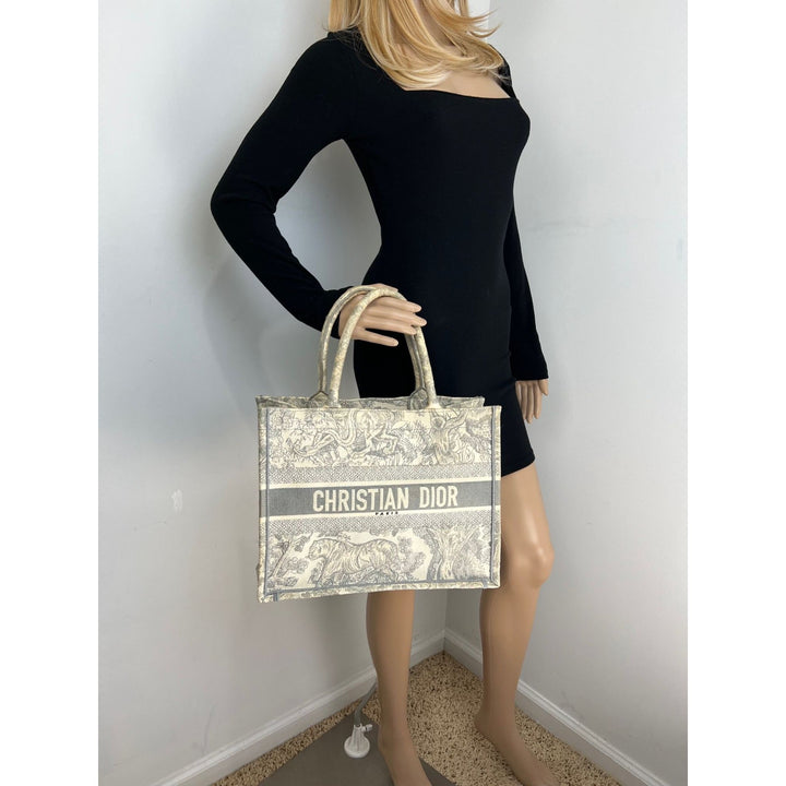 Person holding a Christian Dior handbag against a plain background