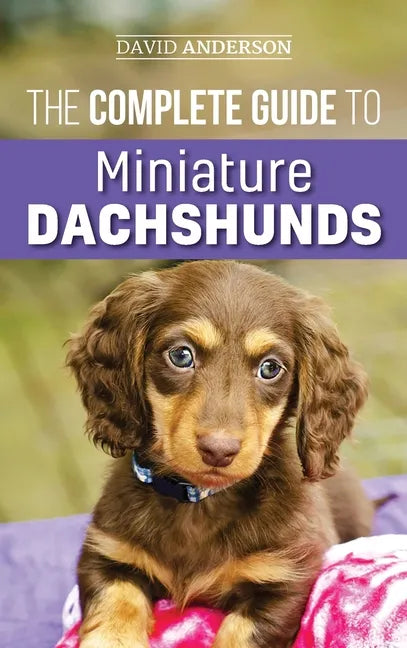 The Complete Guide to Miniature Dachshunds: A step-by-step guide to successfully raising your new Miniature Dachshund - Hardcover
