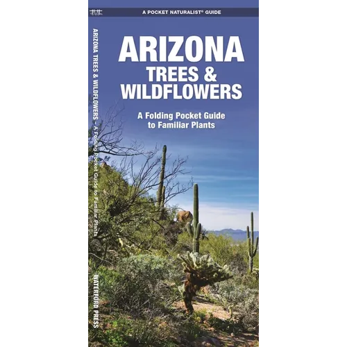 Arizona Trees & Wildflowers: A Folding Pocket Guide to Familiar Plants - Paperback