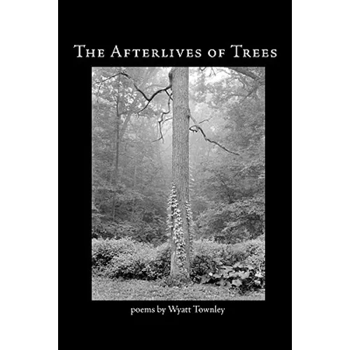 The Afterlives of Trees - Paperback