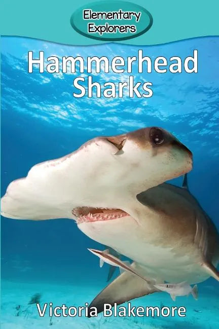 Hammerhead Sharks - Paperback