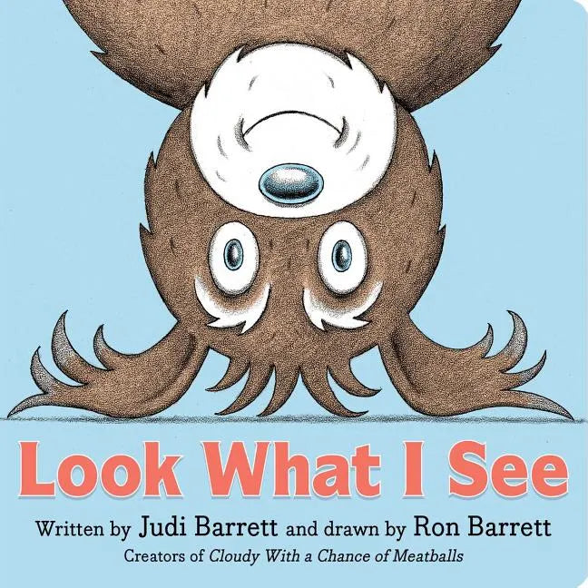 Look What I See - Board Book