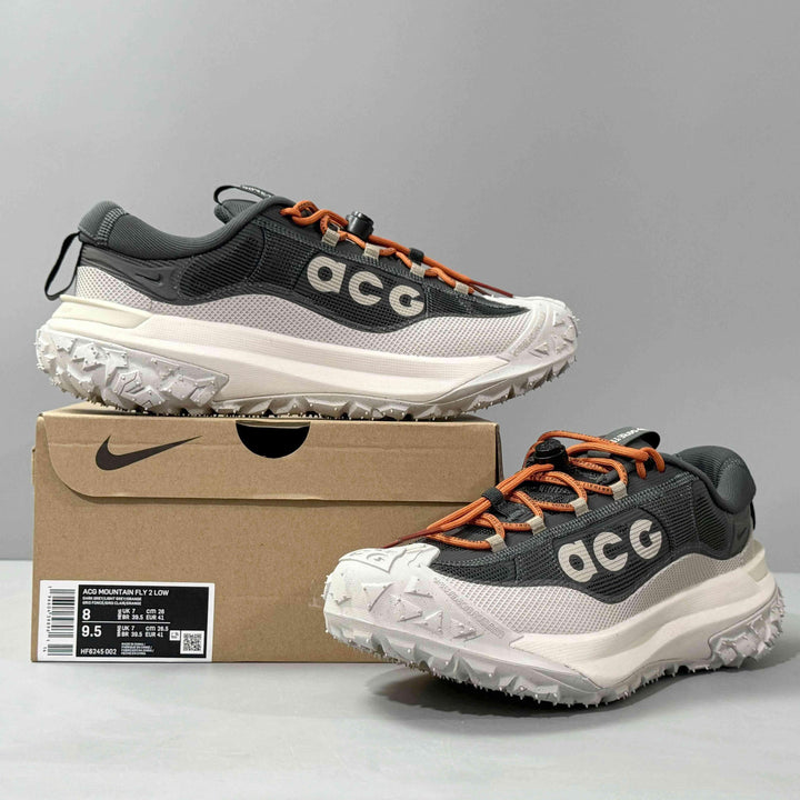 Nike ACG Mountain Fly 2 Low Gore-Tex &