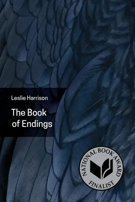 The Book of Endings - Paperback