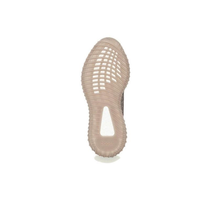 Yeezy Boost 350 V2 &
