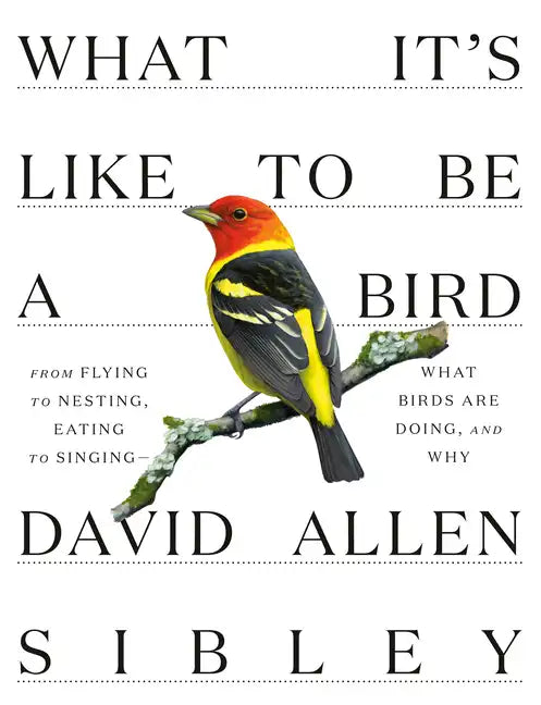What It's Like to Be a Bird: From Flying to Nesting, Eating to Singing--What Birds Are Doing, and Why - Hardcover