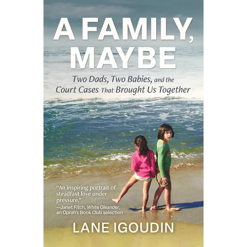 A Family, Maybe: Two Dads, Two Babies, and the Court Cases That Brought Us Together - Paperback