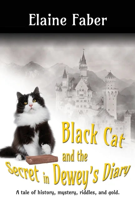 Black Cat and the Secret in Dewey's Diary: A tale of history, mystery, riddles and gold - Paperback