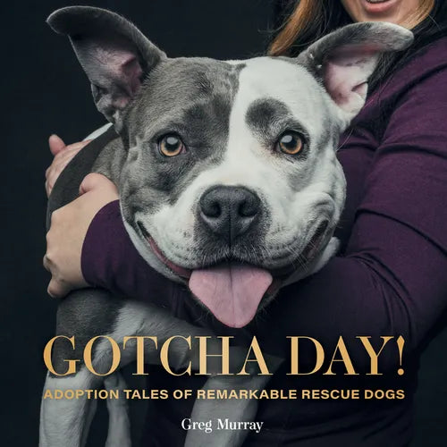Gotcha Day!: Adoption Tales of Remarkable Rescue Dogs - Hardcover