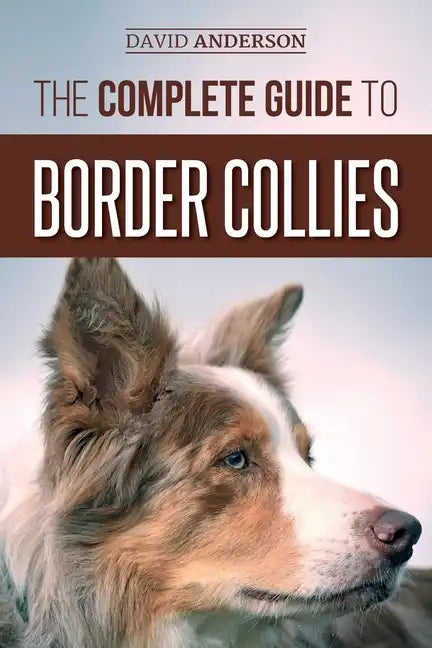 The Complete Guide to Border Collies: Training, teaching, feeding, raising, and loving your new Border Collie puppy - Paperback