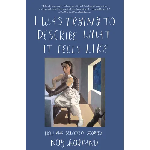 I Was Trying to Describe What it Feels Like: New and Selected Stories - Paperback