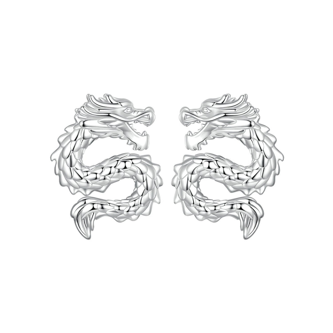 925 Sterling Silver Plated White Gold Earrings
