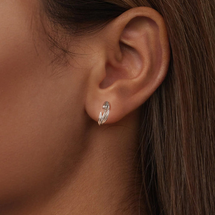 925 Sterling Silver White Gold Plated Earrings for Women