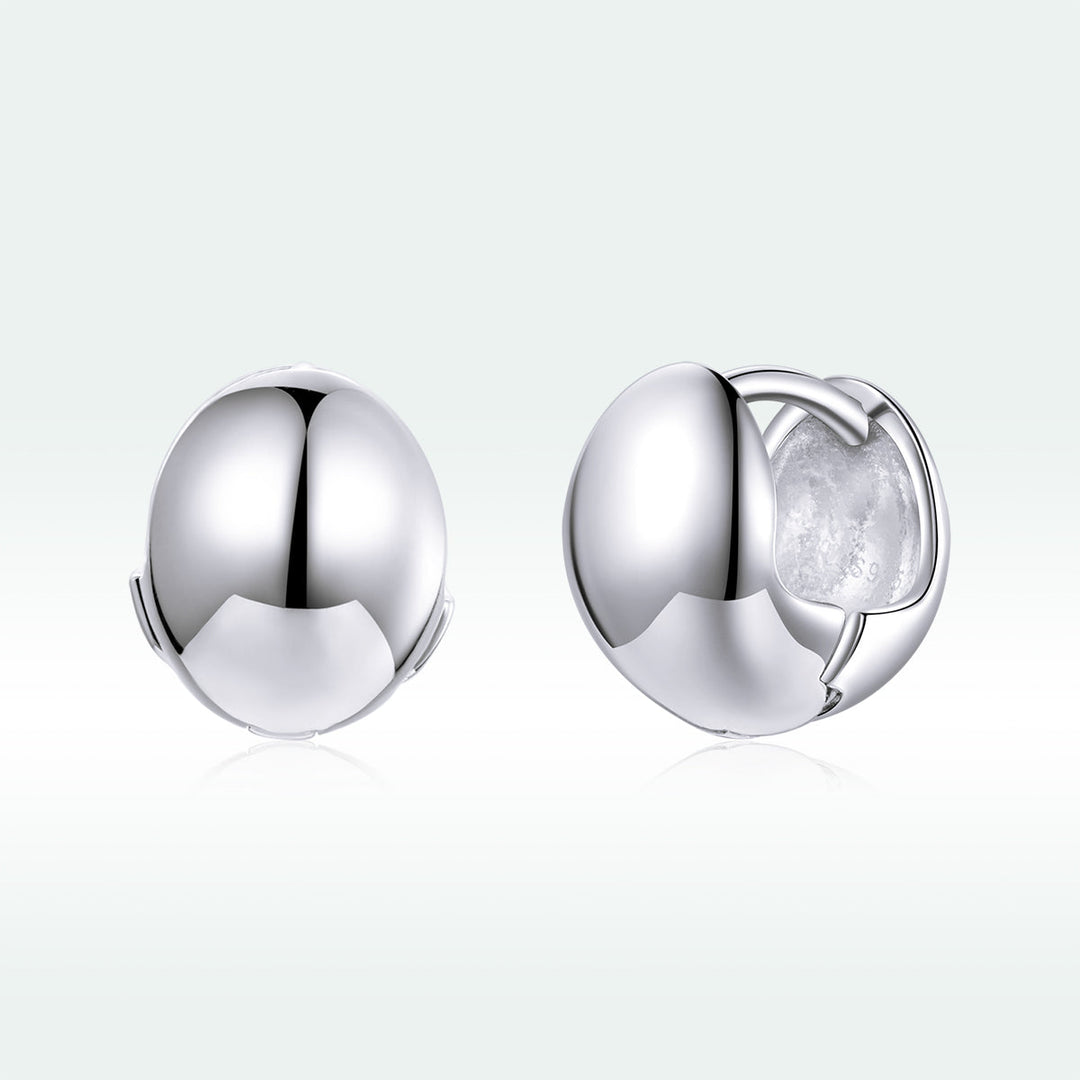 S925 Sterling Silver Platinum Plated Earrings for Women