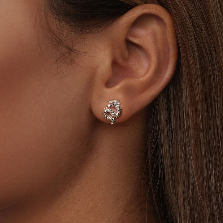 925 Sterling Silver Plated White Gold Earrings