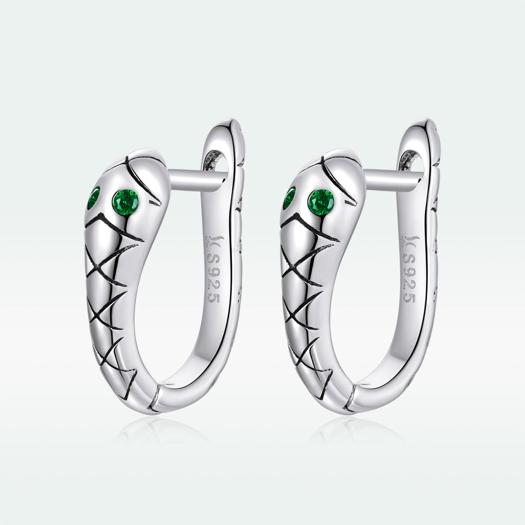 925 Sterling Silver Plated Platinum CZ Earrings for Women