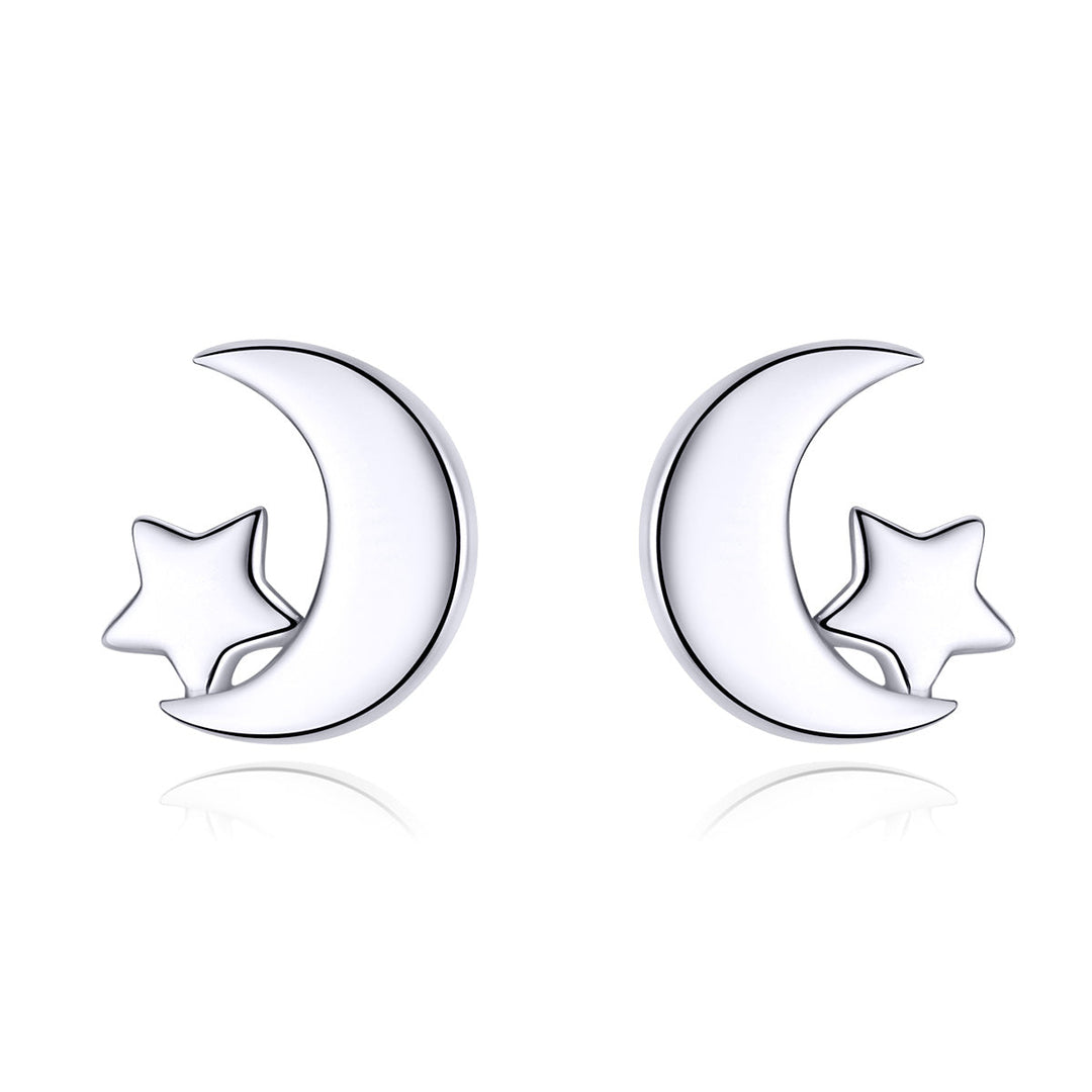 S925 Sterling Silver Earrings for Women