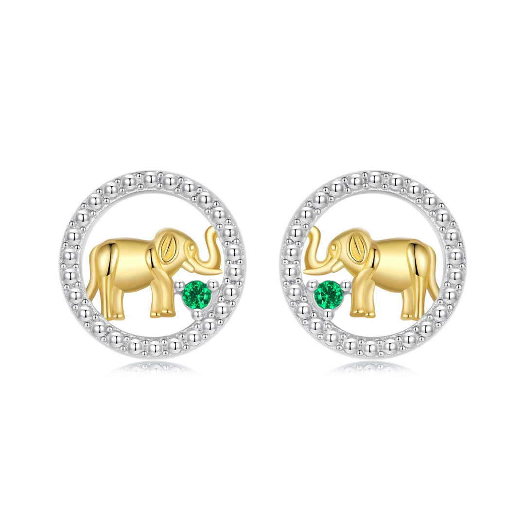 925 Sterling Silver Earrings with CZ in White Gold Plated for Women