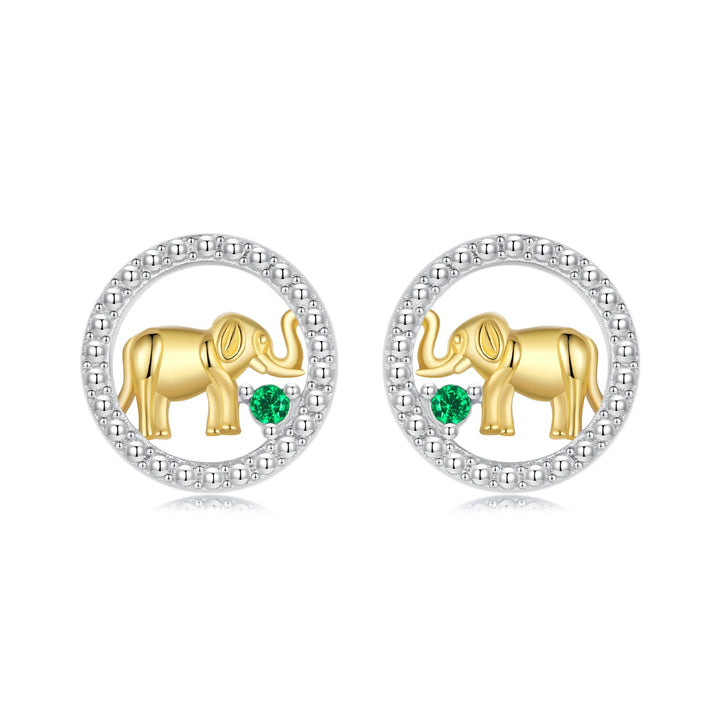 925 Sterling Silver Earrings with CZ in White Gold Plated for Women