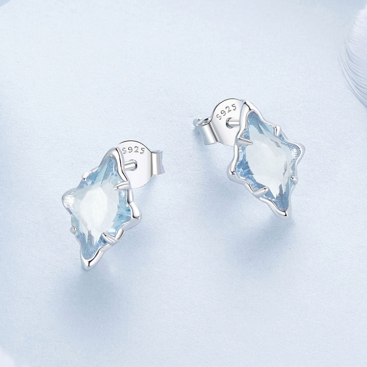 925 Sterling Silver Earrings with Transparent Glass and White Gold Plating