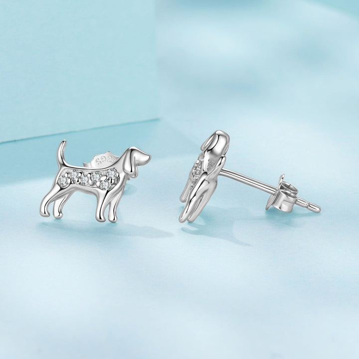 925 Sterling Silver Pavé Set CZ White Gold Plated Earrings for Women