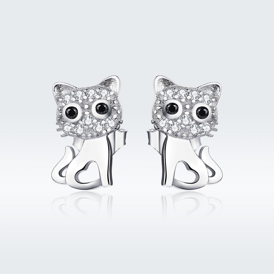 S925 Sterling Silver Earrings for Women