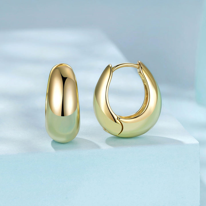 925 Sterling Silver White Gold Plated Earrings