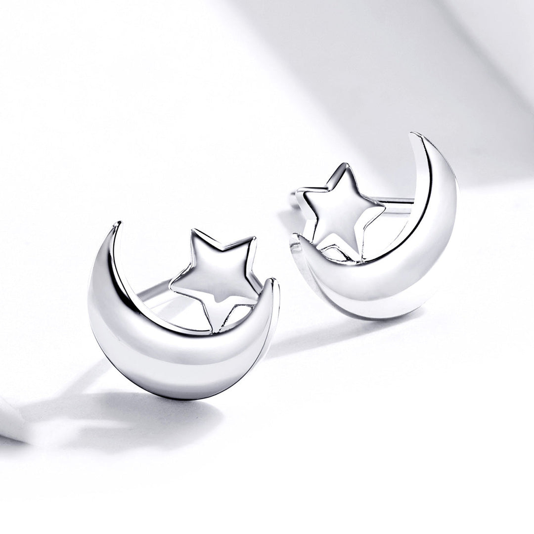 S925 Sterling Silver Earrings for Women