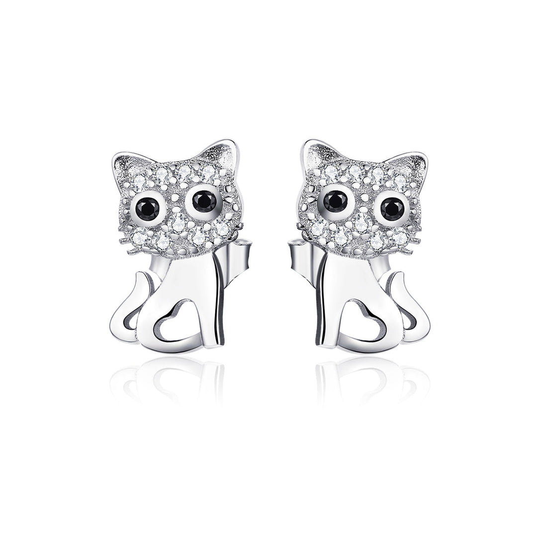 S925 Sterling Silver Earrings for Women