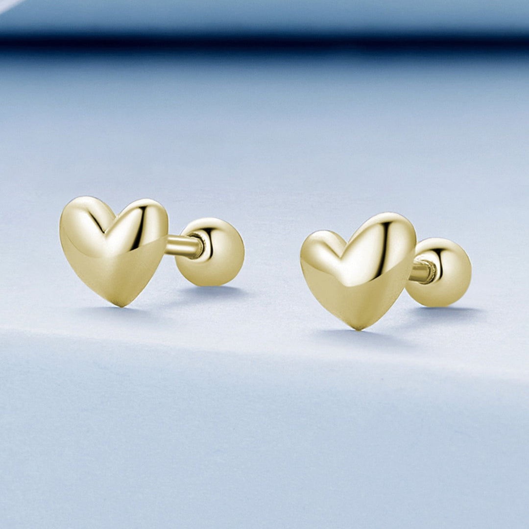 925 Sterling Silver Plated Platinum 5mm Earrings for Women
