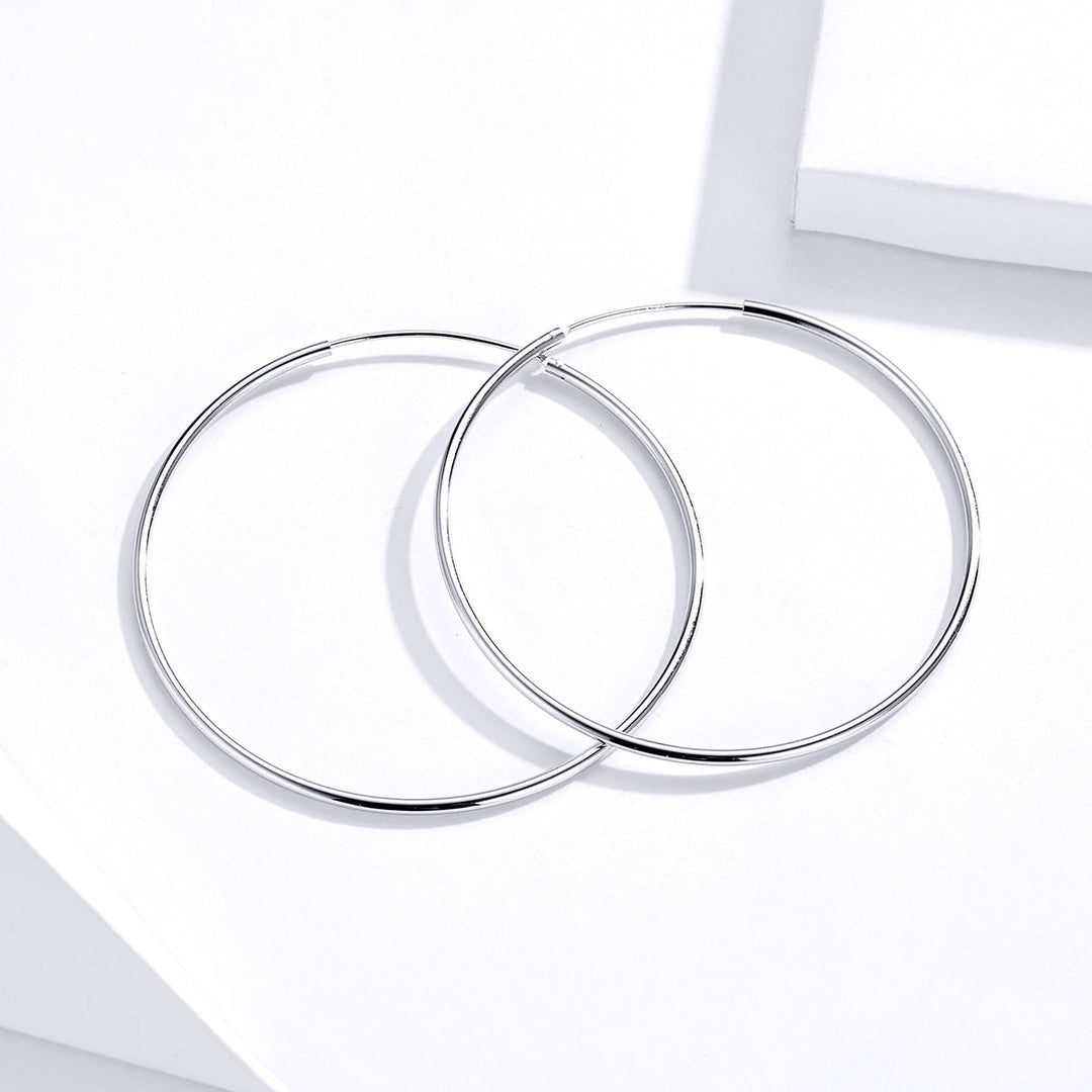 S925 Sterling Silver Earrings for Women