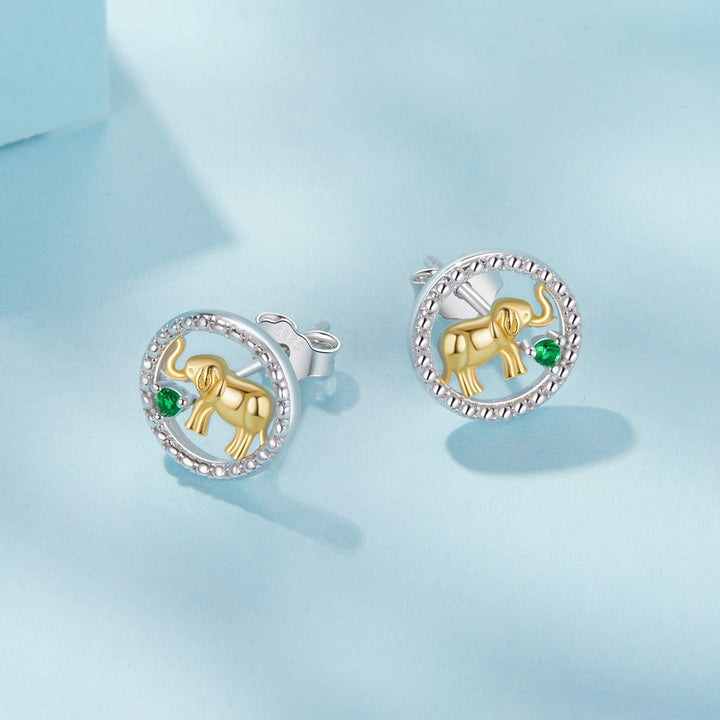 925 Sterling Silver Earrings with CZ in White Gold Plated for Women