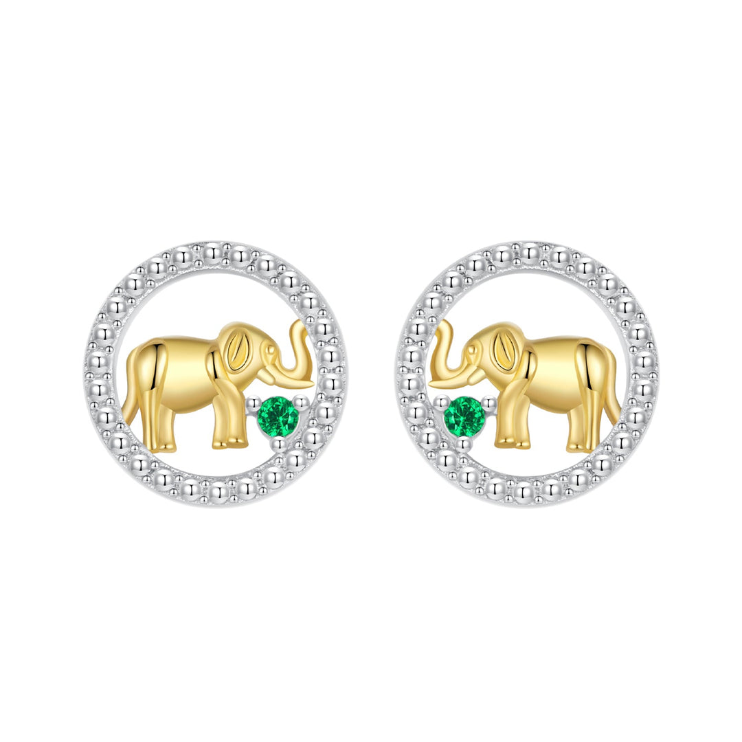 925 Sterling Silver Earrings with CZ in White Gold Plated for Women