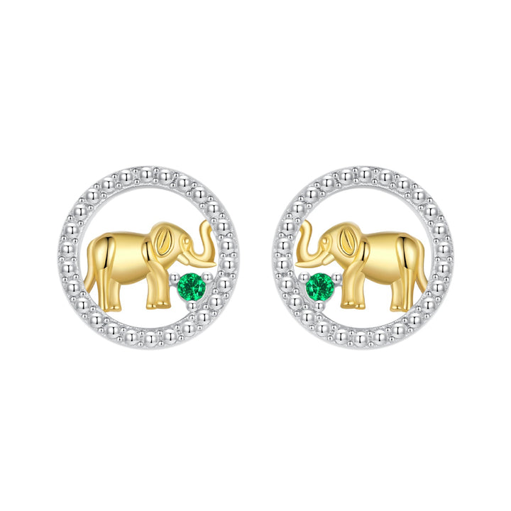 925 Sterling Silver Earrings with CZ in White Gold Plated for Women
