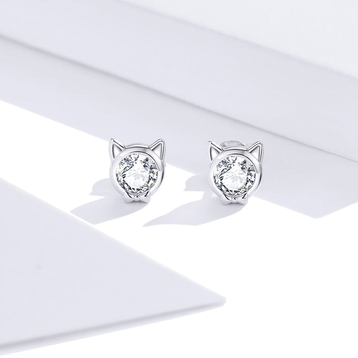 925 Sterling Silver Plated Platinum CZ Earrings for Women